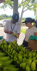 Parcela  la corporación